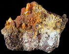 Bright Orange Wulfenite Crystal Cluster - Rowley Mine, AZ #49377-1